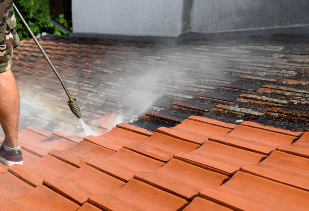 Pressure Washing Estimates in Citrus Park, FL
