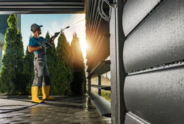 Best Roof Pressure Washing  in Citrus Park, FL