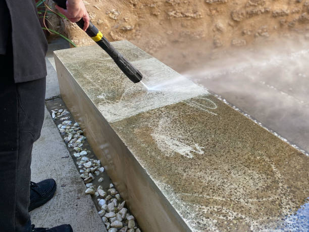 Local Pressure Washing Services in Citrus Park, FL