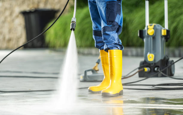 Best Roof Power Washing Services  in Citrus Park, FL
