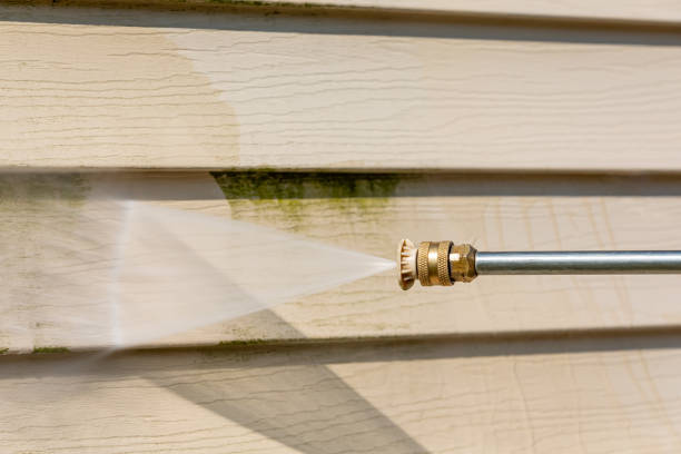 Best Pressure Washing Patio  in Citrus Park, FL