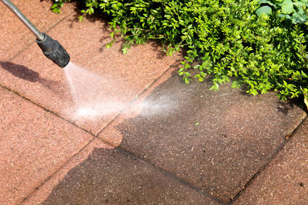 Fence Pressure Washing in Citrus Park, FL