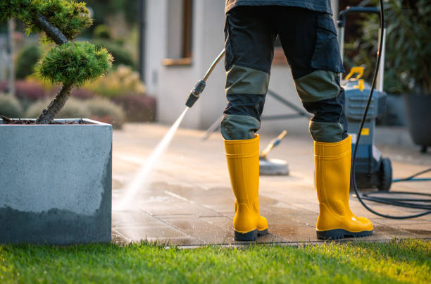 Best House Pressure Washing  in Citrus Park, FL